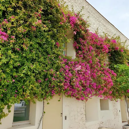 Convento Bernadas *